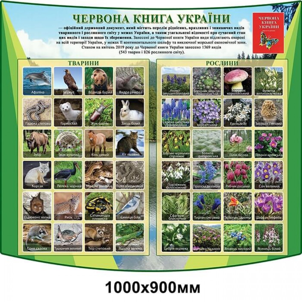 Стенд Червона книга України (колір зелений)